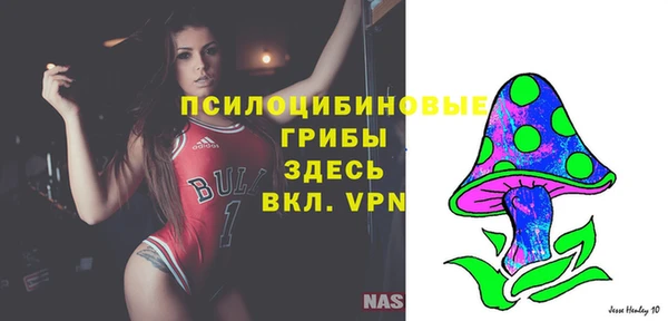 кристаллы Бородино