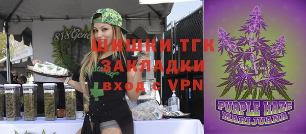 скорость Бронницы