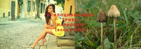 кристаллы Бородино
