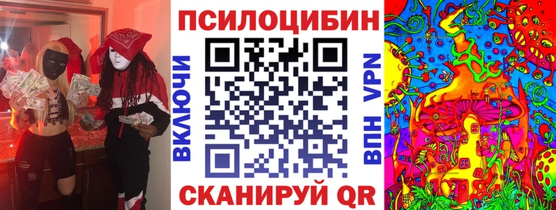 блэк спрут ссылка  сколько стоит  Дорогобуж  Псилоцибиновые грибы мицелий 